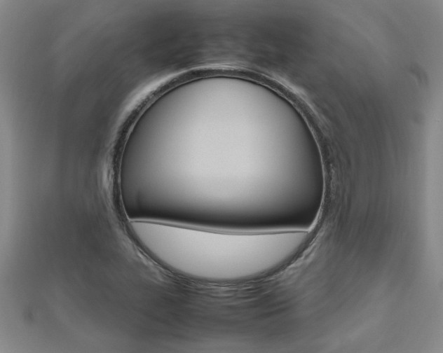 X0000112471319200908170942