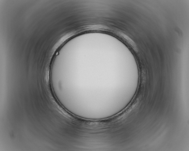 X0000112471322200908170942