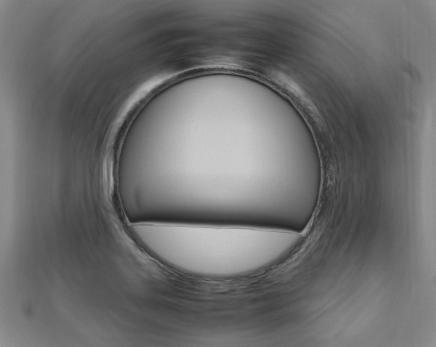 X0000112471323200908170942