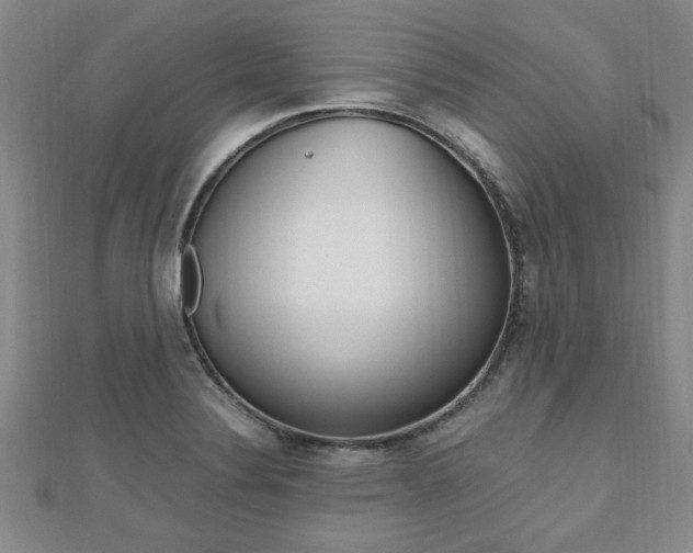 X0000112471324200908170942
