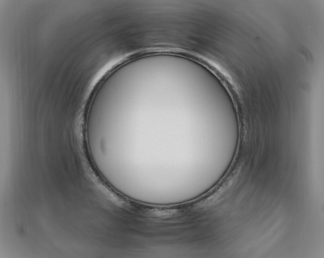 X0000112471325200908170942