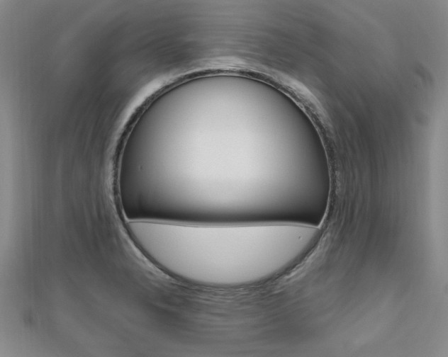 X0000112471326200908170942