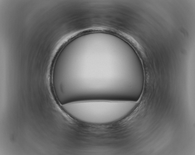 X0000112471327200908170942