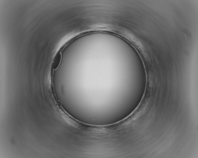 X0000112471328200908170942