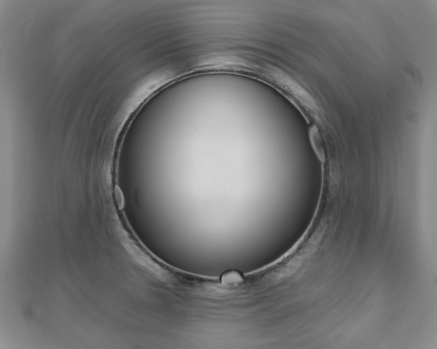 X0000112471330200908170942