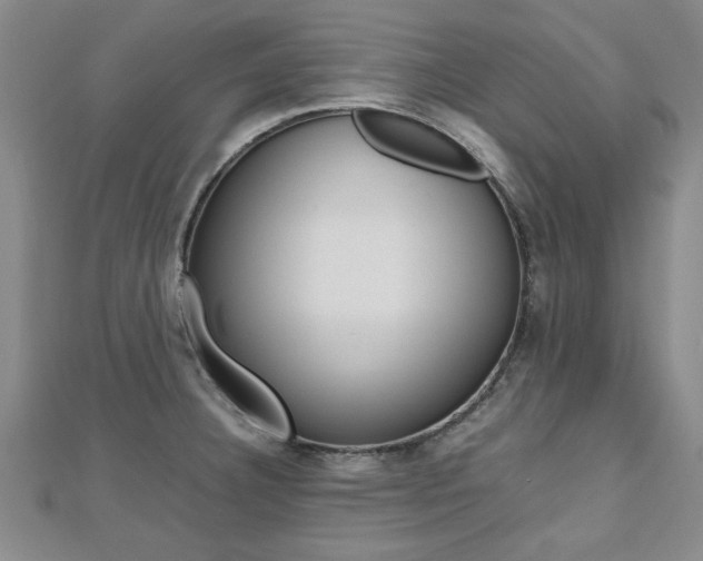 X0000112471332200908170942
