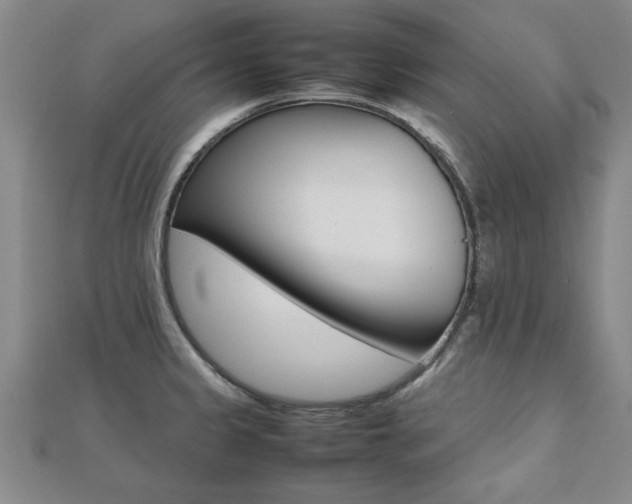 X0000112471333200908170942