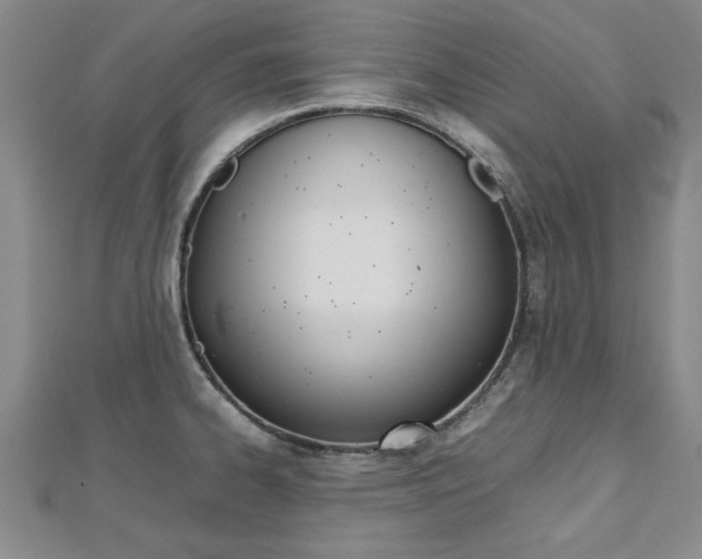 X0000112471334200908170942