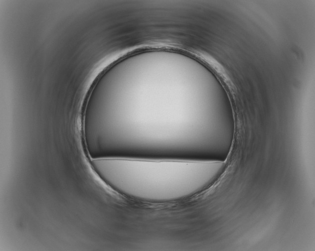 X0000112471335200908170942
