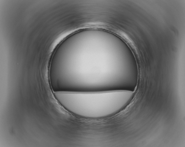 X0000112471336200908170942