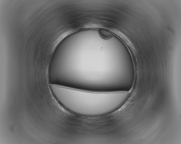 X0000112471337200908170942