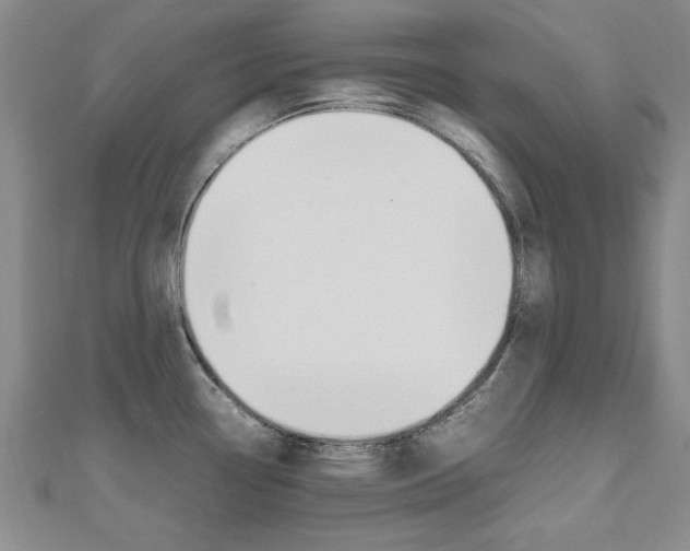 X0000112471338200908170942