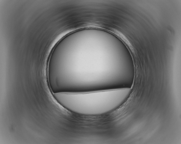 X0000112471339200908170942