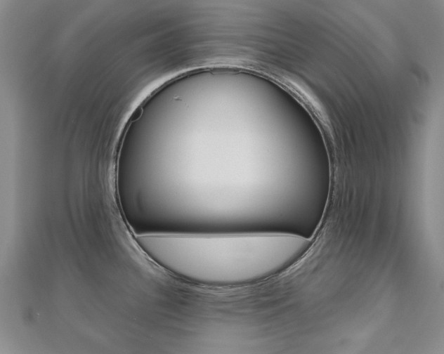 X0000112471340200908170942