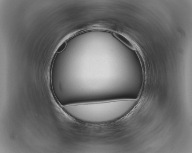 X0000112471341200908170942