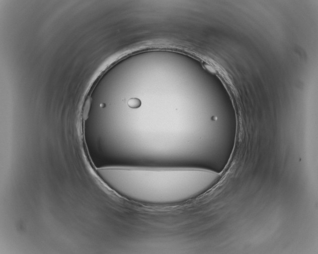 X0000112471342200908170942