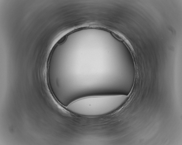 X0000112471343200908170942