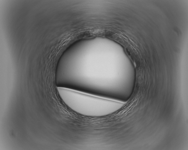 X0000112471345200908170942