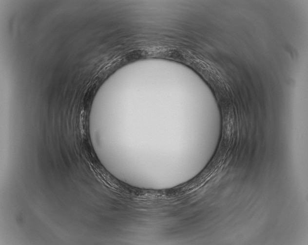X0000112471346200908170942