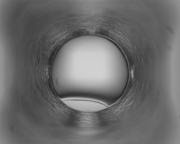 X0000112471347200908170942