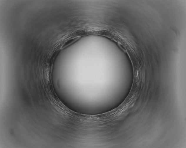 X0000112471348200908170941