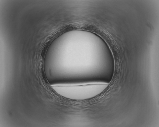 X0000112471349200908170941