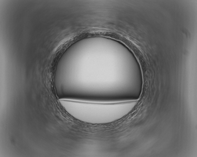 X0000112471351200908170941
