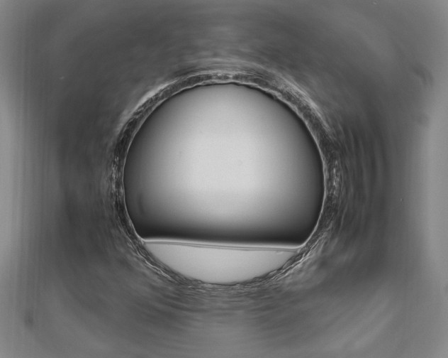 X0000112471352200908170941