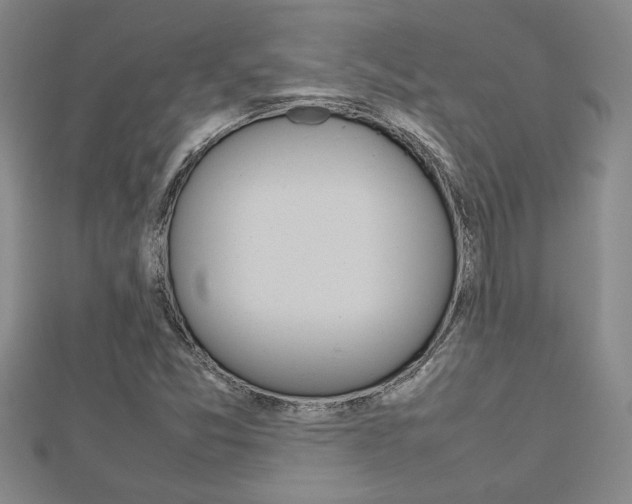X0000112471357200908170941