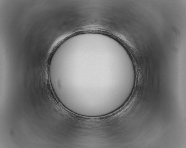 X0000112471358200908170941