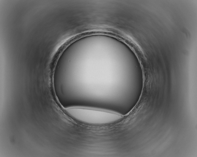 X0000112471360200908170941