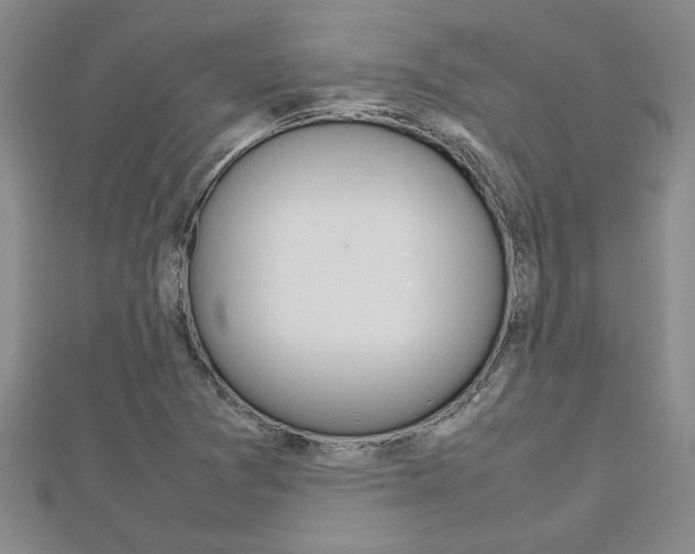 X0000112471361200908170941