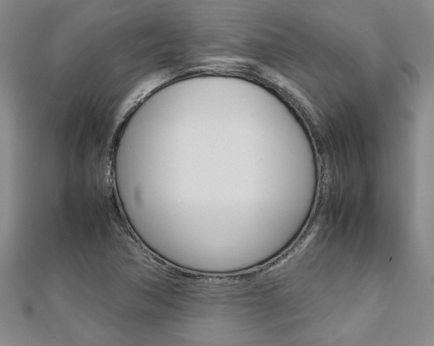 X0000112471362200908170941