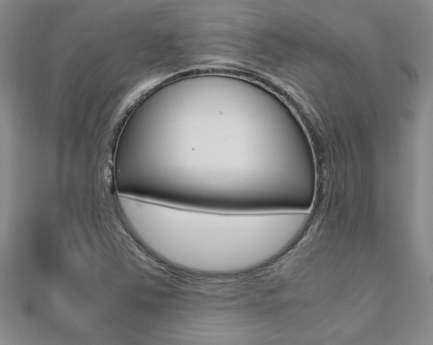 X0000112471363200908170941