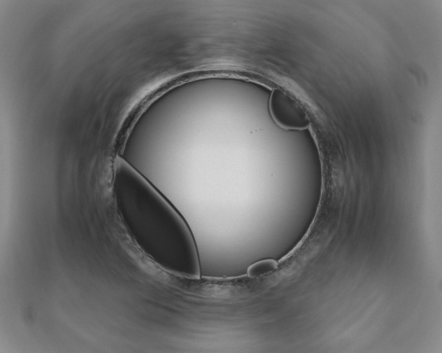 X0000112471364200908170941