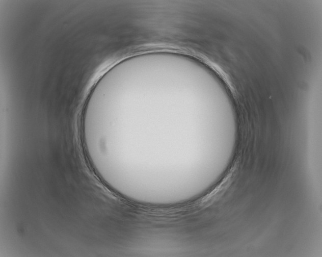 X0000112471365200908170941