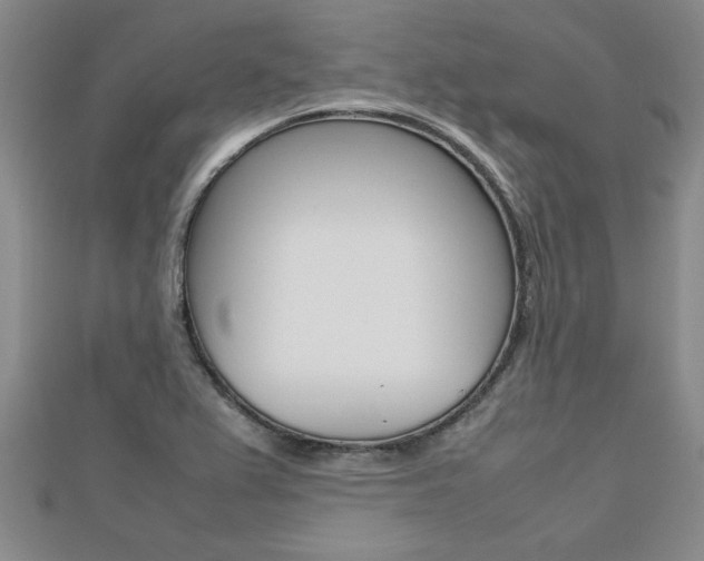X0000112471367200908170941