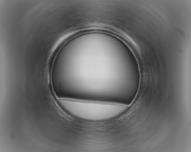 X0000112471368200908170941