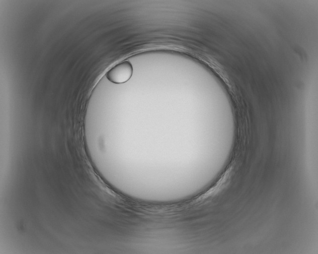 X0000112471369200908170941