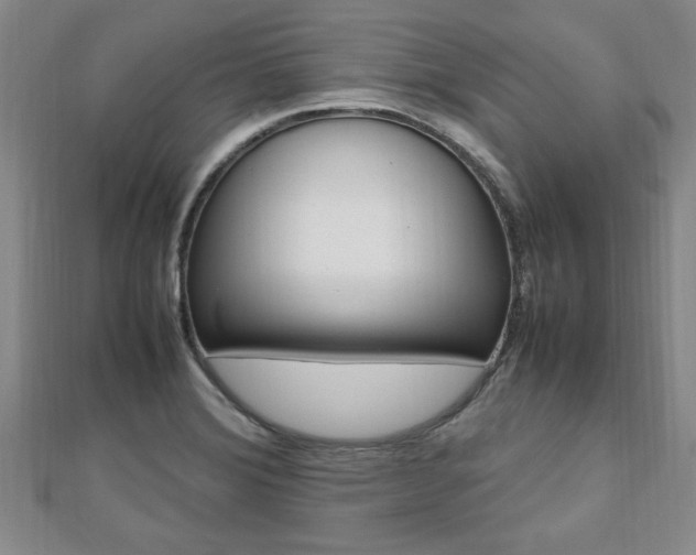 X0000112471372200908170941
