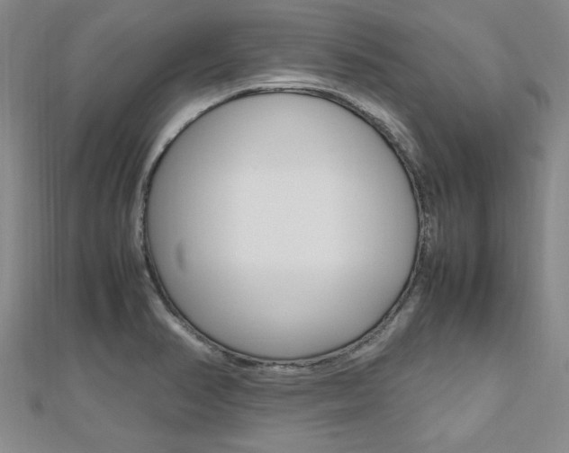 X0000112471374200908170941