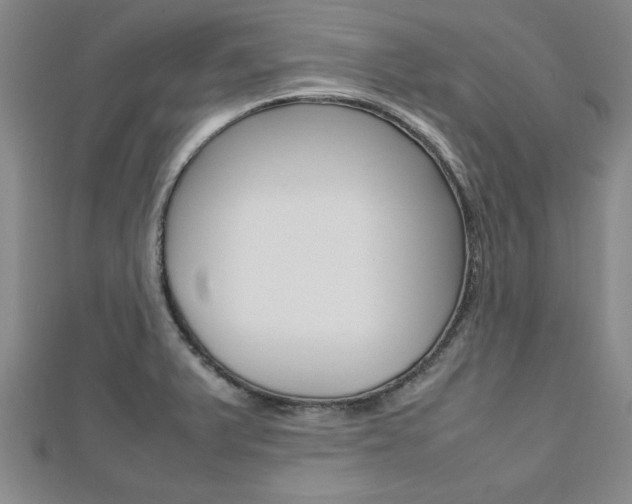 X0000112471375200908170941