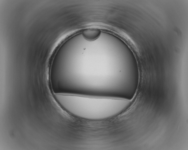 X0000112471376200908170941