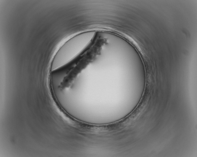 X0000112471379200908170941