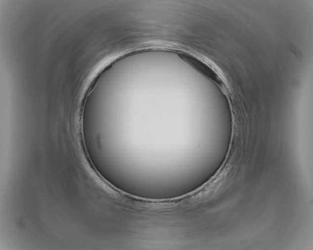X0000112471381200908170941