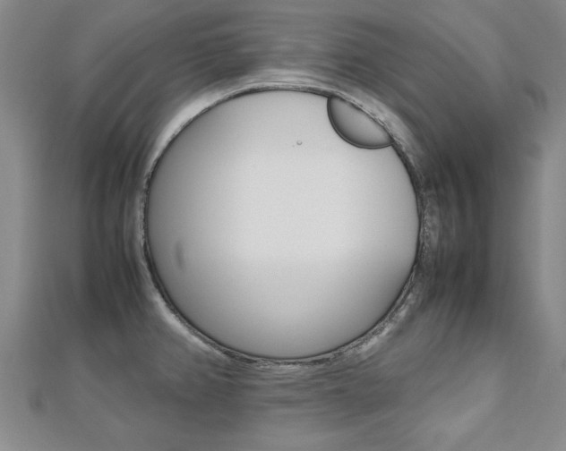 X0000112471382200908170941