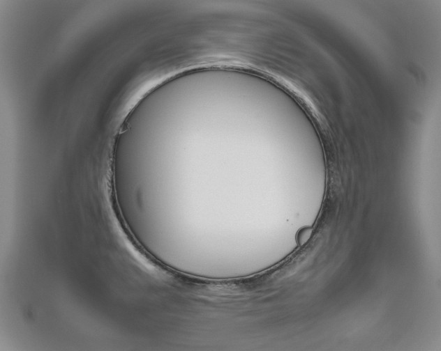 X0000112471383200908170941