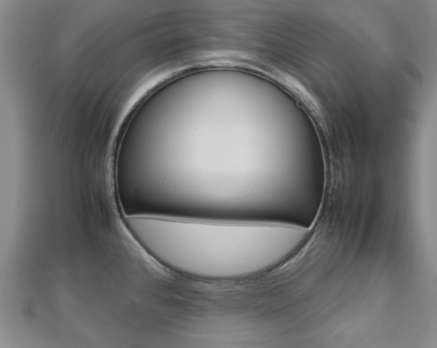 X0000112471384200908170941