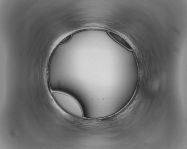 X0000112471387200908170941
