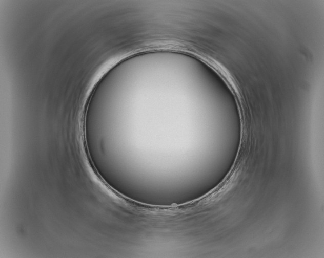 X0000112471389200908170941